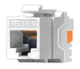 Conector Jack RJ45 CAT6  BELDEN AX101320 - RJ-45, Blanco, Cat 6
